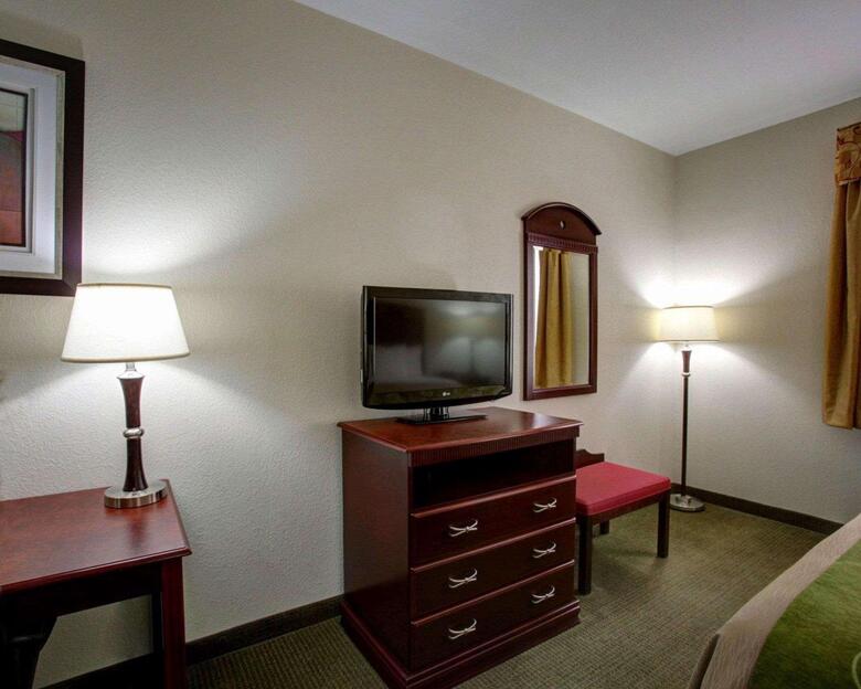 Hotel Comfort Inn Rockdale