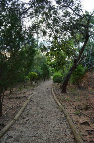 Villa De Charme Encosta Da Praia