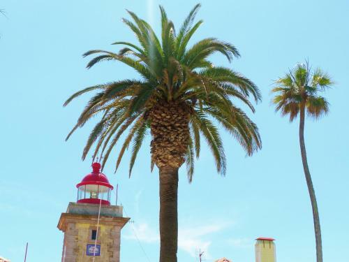 Apartamento Casas Novas Guesthouse - Adults Only