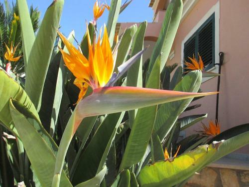 Apartamento Casas Novas Guesthouse - Adults Only