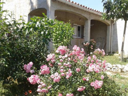 Apartamento Aicardi