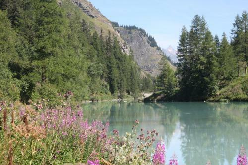 Apartamento Chalet Pomme De Pin