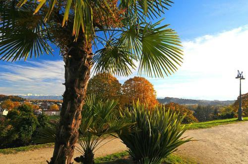 Hotel H�tel Adour