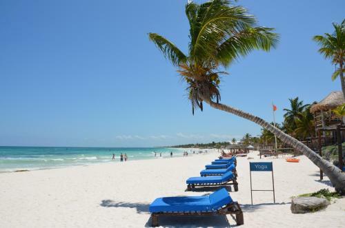 Apartamentos Stay In Tulum!
