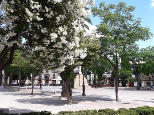 Apartamentos Sol De Mayo