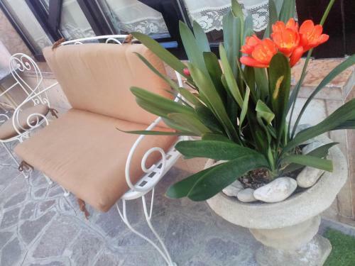 Hotel Garn� Orchidea