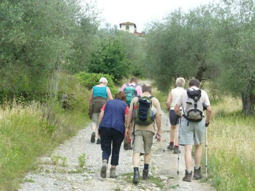 Hotel Camping Village Il Poggetto