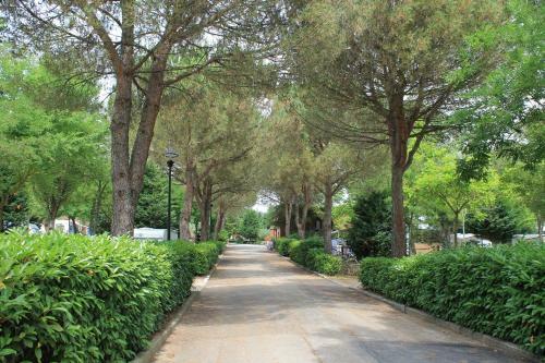 Hotel Camping Village Il Poggetto