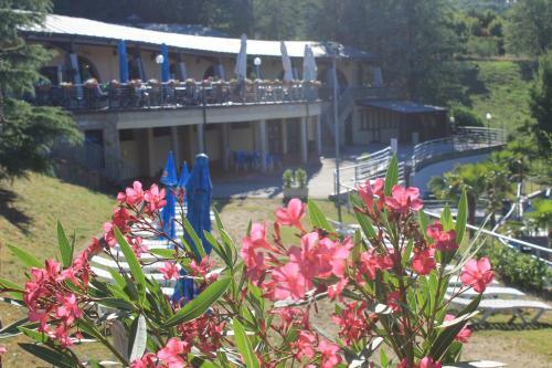 Hotel Camping Village Il Poggetto