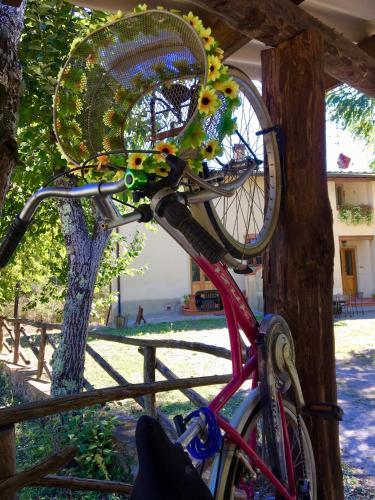 Agroturismo Agriturismo Montassi E Bruscolaio