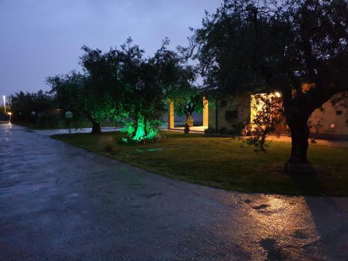 Hostal L'antico Vigneto