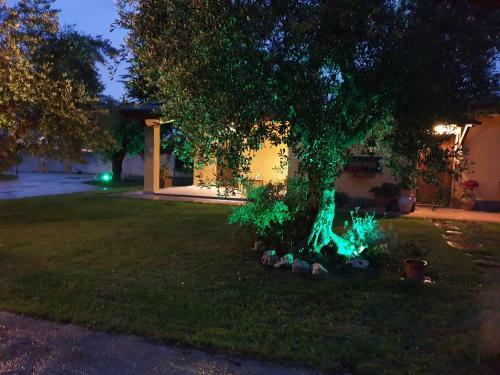 Hostal L'antico Vigneto