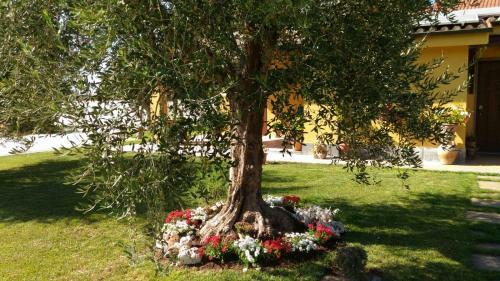 Hostal L'antico Vigneto
