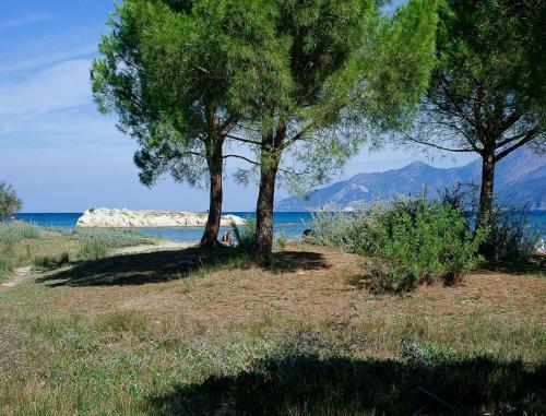 Apartamento R�sidence Suarella