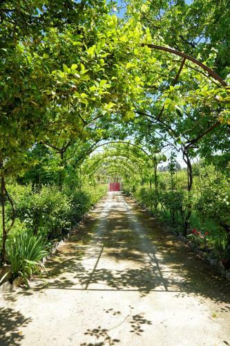Agroturismo Casa De Docim