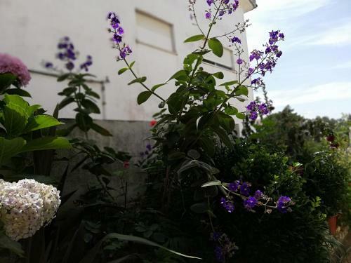 Hostal Residencial Idalio