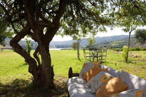 Agroturismo Casa De Darei