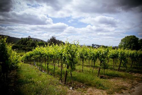 Agroturismo Quinta De Lourosa