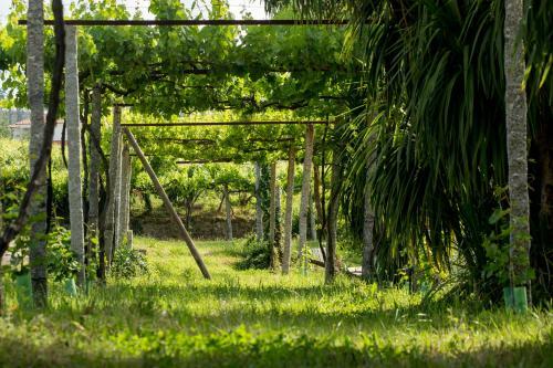 Agroturismo Quinta De Lourosa