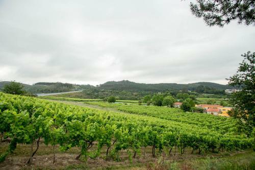Agroturismo Quinta De Lourosa