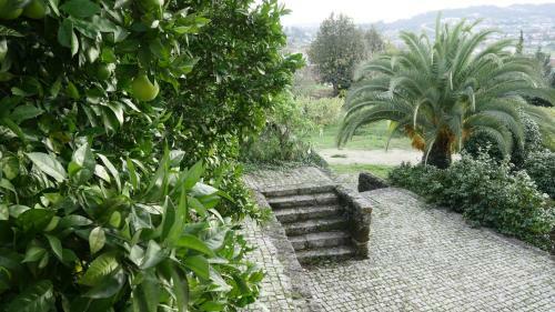 Agroturismo Quinta De Lourosa