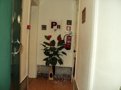 Hostal Rossio Alojamento Local
