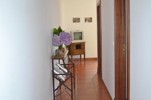 Agroturismo Quinta Do Real - Casa De Campo