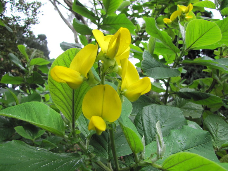 Hostal Residencial Casa Do Jardim