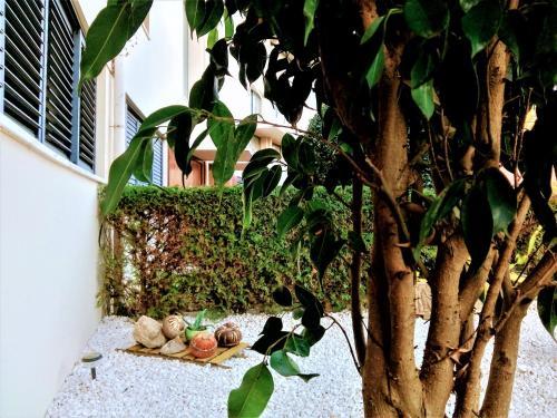 Suite S. Martinho
