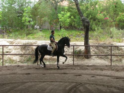 Agroturismo Coudelaria Vale Pau