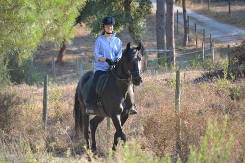 Agroturismo Coudelaria Vale Pau