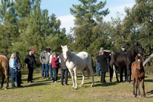 Agroturismo Coudelaria Vale Pau