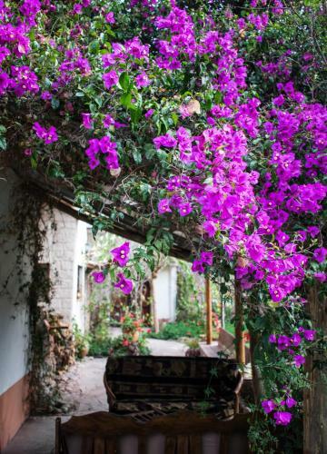 Posada Eco Lodge Urubamba