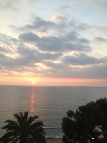 Hotel Villa Igea