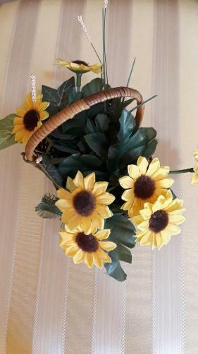 Bed & Breakfast Affittacamere Mammanella