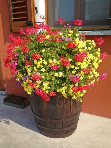 Bed & Breakfast Affittacamere Mammanella