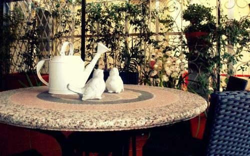 B&B Elisir