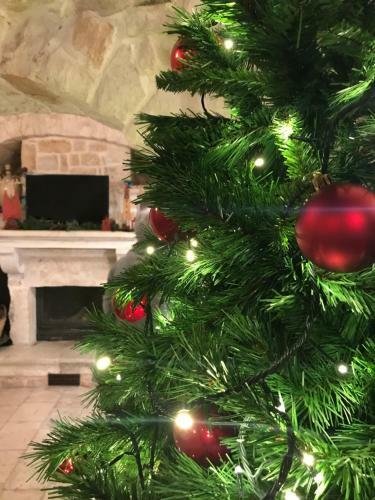 Bed & Breakfast Trulli Aria Di Casa