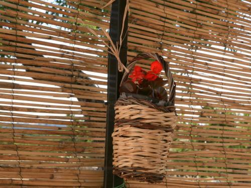 Agroturismo Pietraluce