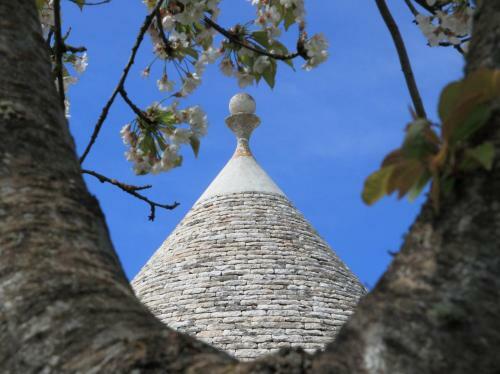 Agroturismo Pietraluce