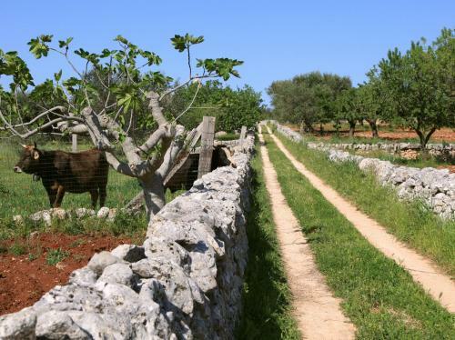 Agroturismo Pietraluce