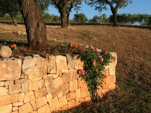 Agroturismo Pietraluce