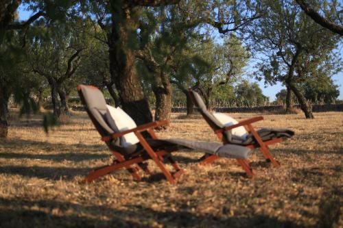 Agroturismo Pietraluce