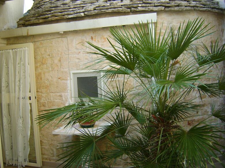 Apartamento B&B Aquila