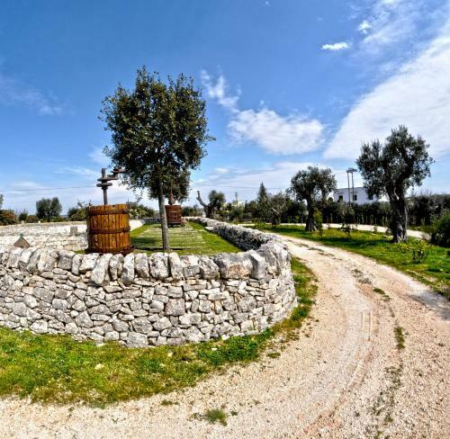 Bed & Breakfast Masseria Rosa Trulli Relais