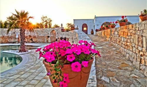 Bed & Breakfast Masseria Rosa Trulli Relais
