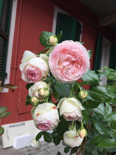 Hostal B&B Arcobaleno