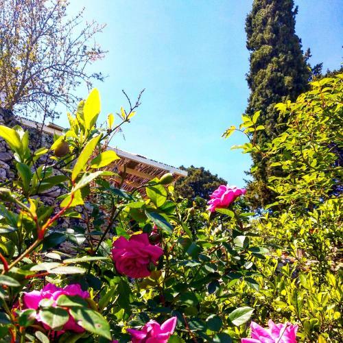 Bed & Breakfast Masseria Delle Rose