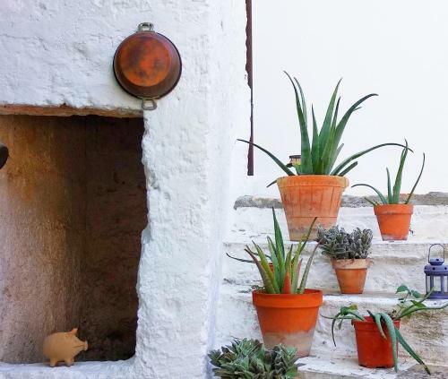 Bed & Breakfast Masseria Delle Rose