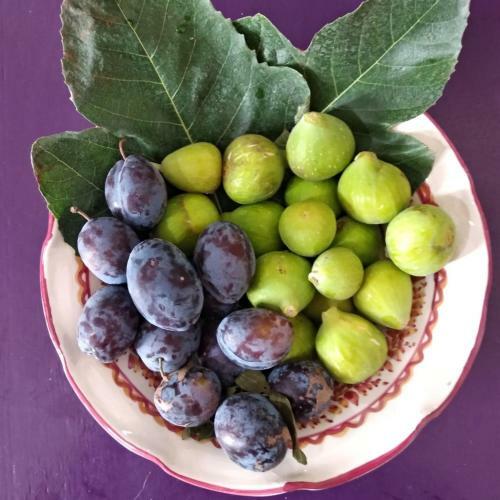 Bed & Breakfast Masseria Delle Rose